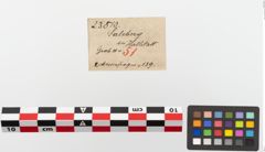 Etiketten zu Eisengriffangelmesser (NHMW-PRAE-023810)